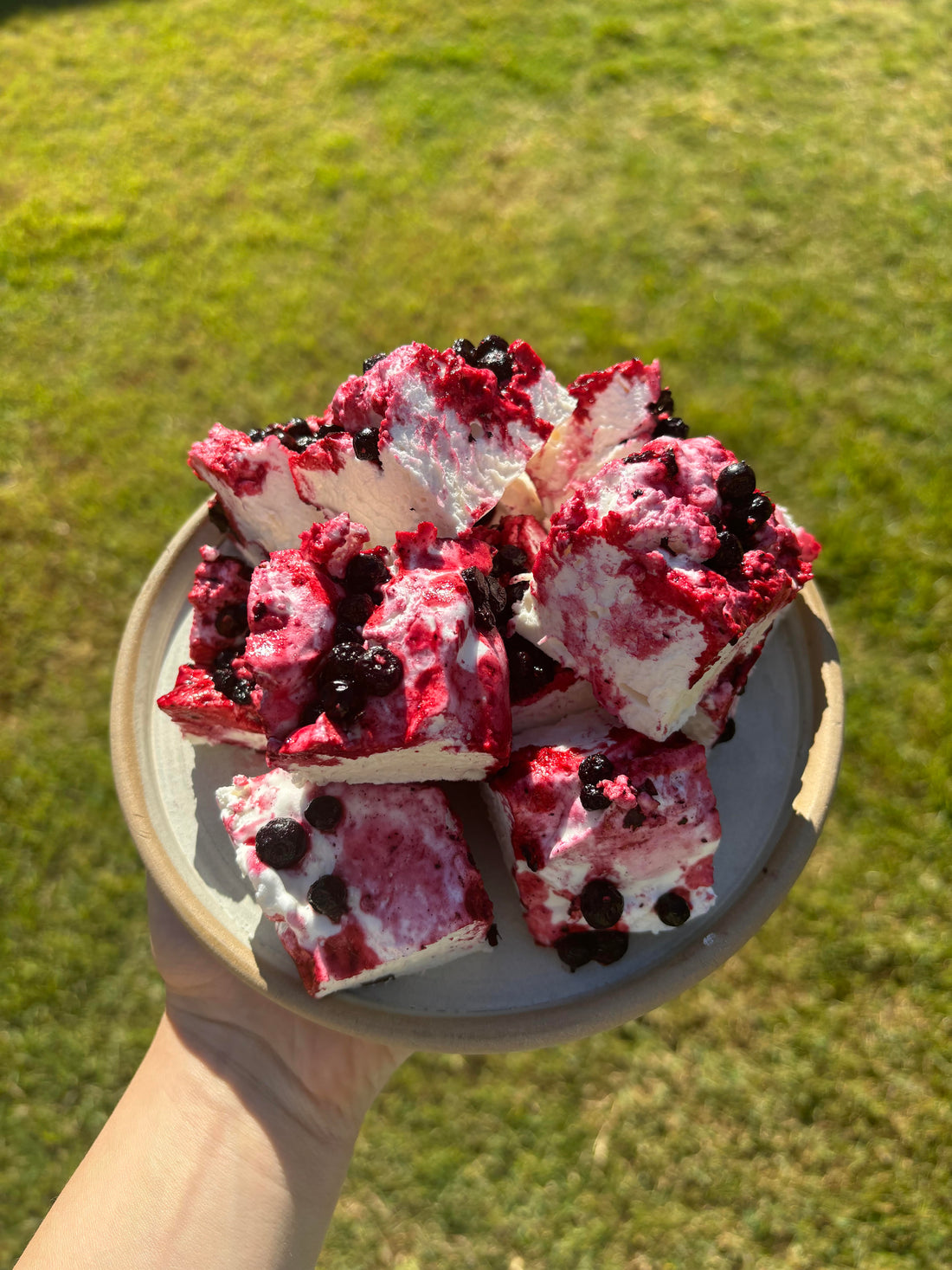 Wild Blueberry Marshmellows