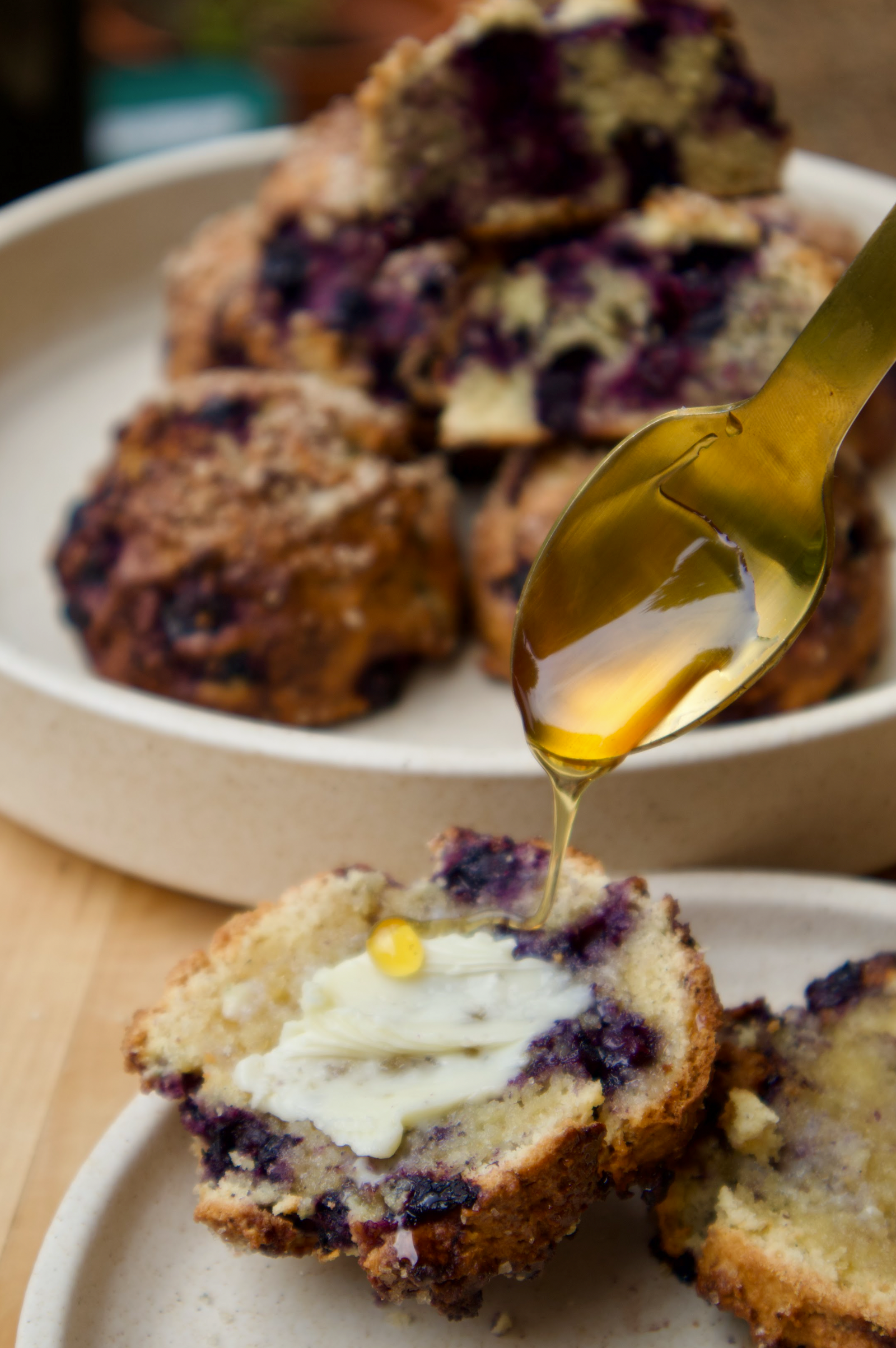 Wild Blueberry Almond Scones (GF)